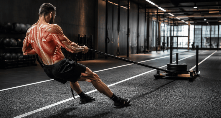 Sled Pull — 50 metros