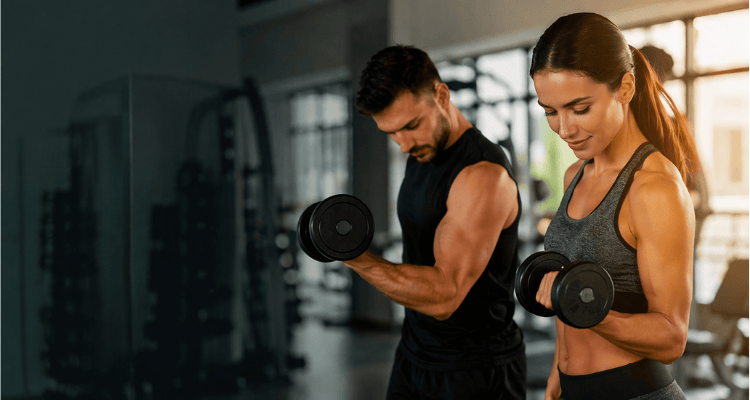 Melhores Exercícios para Braços: Guia Completo