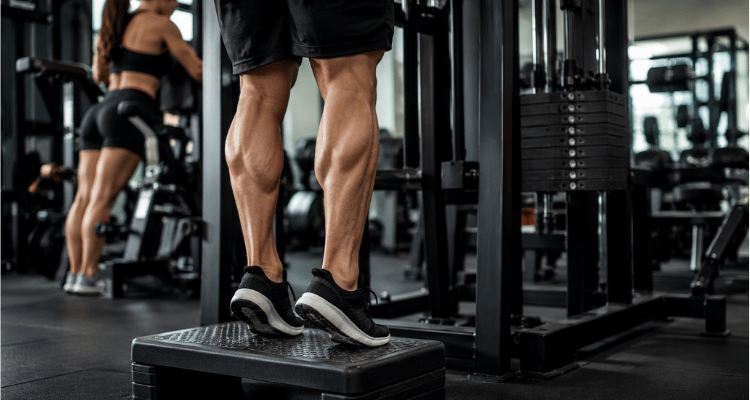 9 Exercícios de Treino de Panturrilha para Resultados Reais (2026)