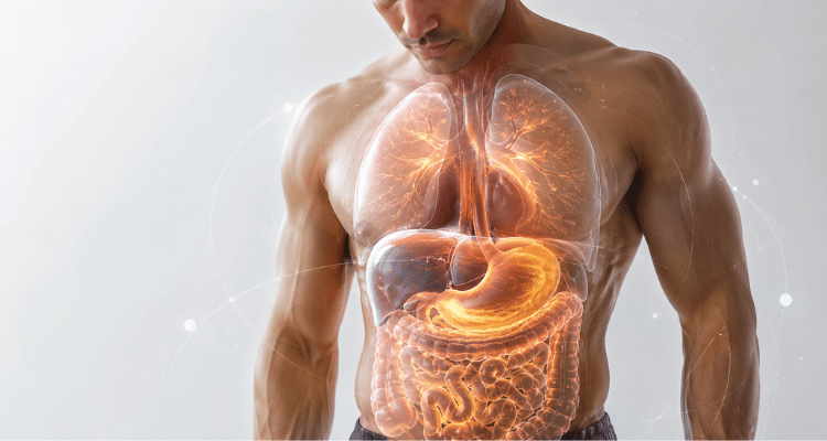 Como Calcular a Sua Taxa Metabólica Basal