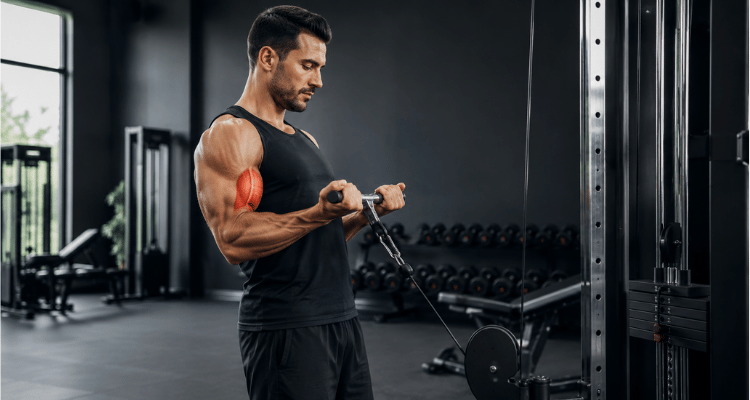 Bíceps Pulley: 8 Exercícios e Como Fazer na Polia