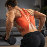 Exercício para Costas com Halteres: 10 Melhores para Casa Exercício para Costas com Halteres: 10 Melhores para Casa