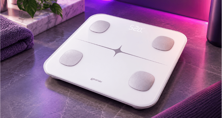 Geonav Hi Concept